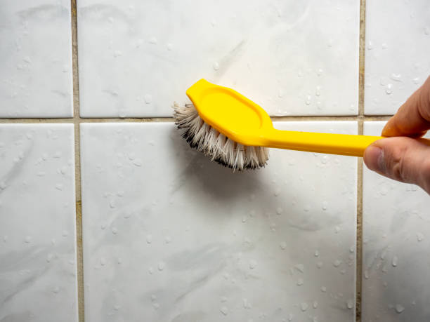 Best Mold Removal Specialists  in Shenorock, NY