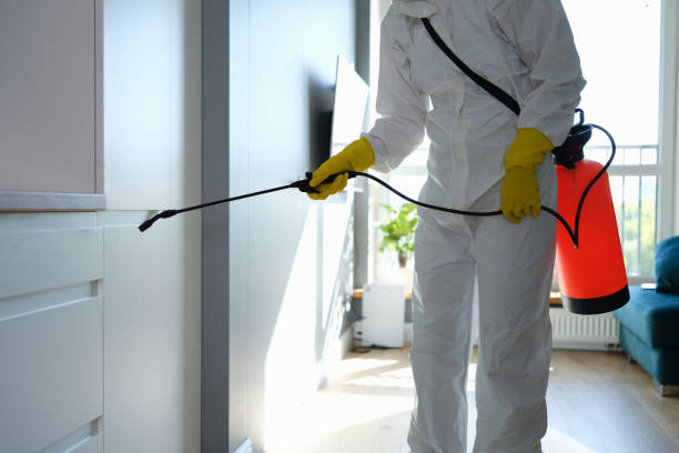 Best Commercial Mold Removal  in Shenorock, NY