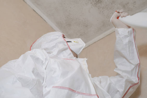 Professional Mold Removal in Shenorock, NY